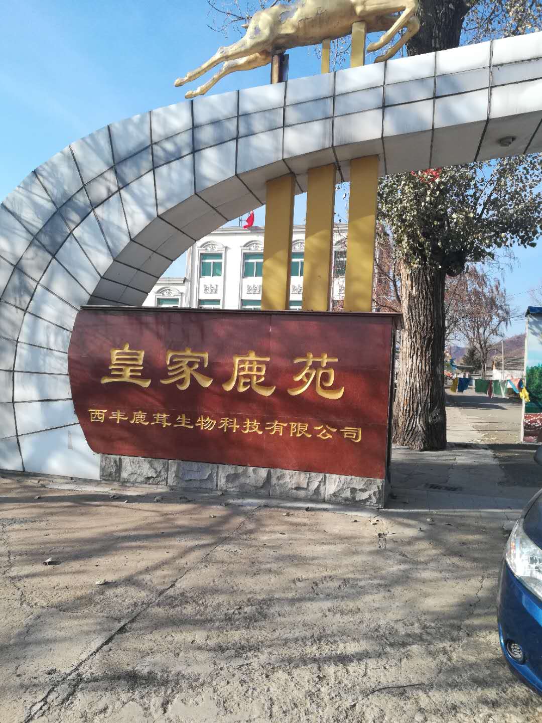 西丰县西丰镇,西丰县,西丰县鹿_大山谷图库